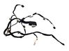 Rear door wiring loom 