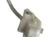 Windshield washer fluid reservoir/tank 