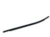 Rear door glass trim molding 