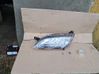 Lampa przednia 46862295