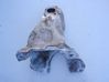 Engine mounting bracket 6788358