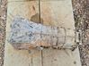 Automatic gearbox 7523280