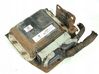 Engine control unit/module ECU 55572800