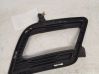 Front fog light trim/grill 865641H500