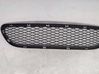 Front bumper lower grill 7198906