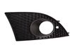 Front bumper lower grill 5P0853666