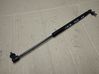Tailgate/trunk strut/damper 