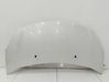 Motorhaube 