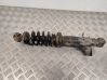 Rear shock absorber with coil spring 9652905080