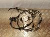 Parking sensor (PDC) wiring loom 4M0971095BH