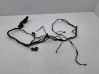 Front door wiring loom 405699C10