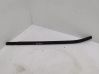 Rear door glass trim molding 