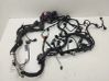Engine installation wiring loom 4G2971845C