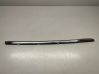 Rear door glass trim molding 