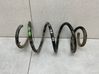 Front coil spring 