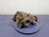 Rear differential 7559330