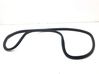 Rear door rubber seal (on body) 7311267