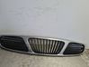 Front grill 