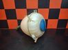 Coolant expansion tank/reservoir 