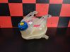 Coolant expansion tank/reservoir 