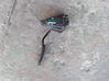 Accelerator pedal position sensor 7700314525