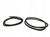 Rubber seal front door (on door) 