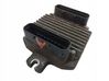 Engine control unit/module 09355909