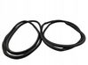 Rubber seal front door (on door) 