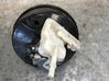 Brake booster E1GC2B195LCC