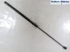 Front bonnet/hood damper/strut 8P0823359B