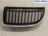 Front bumper lower grill 