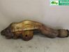 Filtr cząstek stałych Katalizator / FAP / DPF 420251212QX