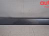 Rear door trim (molding) 