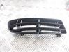Front bumper lower grill 