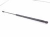 Tailgate/trunk strut/damper 13241975
