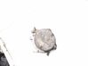 Vacuum pump 55188660