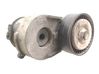 Napinacz paska wielorowkowego / Alternatora 897184929