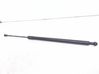 Tailgate/trunk strut/damper 8402405