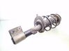 Front shock absorber with coil spring 