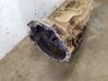 Manual 5 speed gearbox CVL