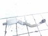 Filtr cząstek stałych Katalizator / FAP / DPF 8R0253653