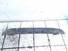 Front bumper cross member 