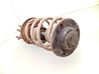 Front shock absorber with coil spring 