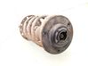 Front shock absorber with coil spring 