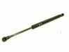 Tailgate/trunk strut/damper 51218254281