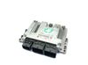 Engine control unit/module 7589971