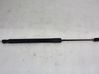 Tailgate/trunk strut/damper 315005777