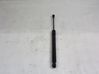 Tailgate/trunk strut/damper 315005777