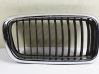 Front grill 