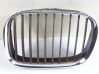 Front grill 8159311